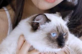 官网资源大片轮番上演，17吃瓜网有种让人尖叫的吸引力！