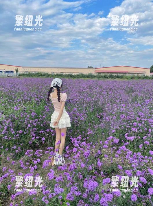 传送门在哪里？让我带你进入“58吃瓜群众”的神奇世界！