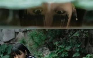 别再犹豫了，快去安卓“zztt42”追追你心中的爆款瓜吧。