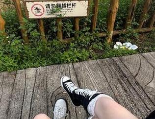 在“五一吃瓜”的官网网页版，能否让你的日常永久充满趣味和轶事？