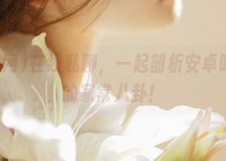在线私聊，一起剖析安卓吃瓜网的家常八卦！