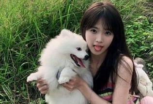 吃瓜网91更新上线，坐等瓜友们的评论，肯定有奇葩的言论。