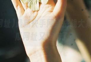 最新快手网红挑战大集合，吃瓜网址又要疯了！